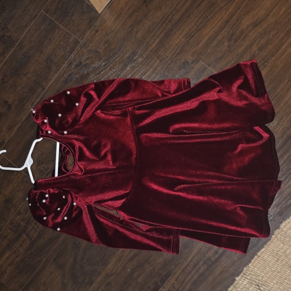 Toddler Velvet Dress - Picture 3 of 3